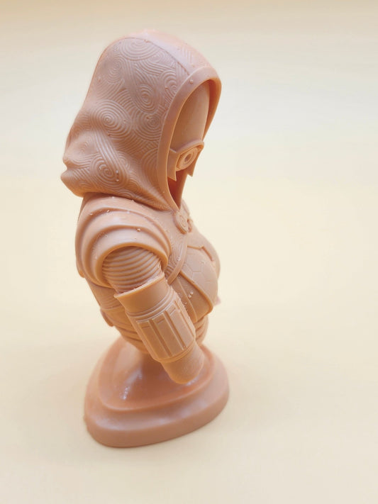 Tali'Zorah Mass Effect Resin Printed Model - 3D Fantasy Models